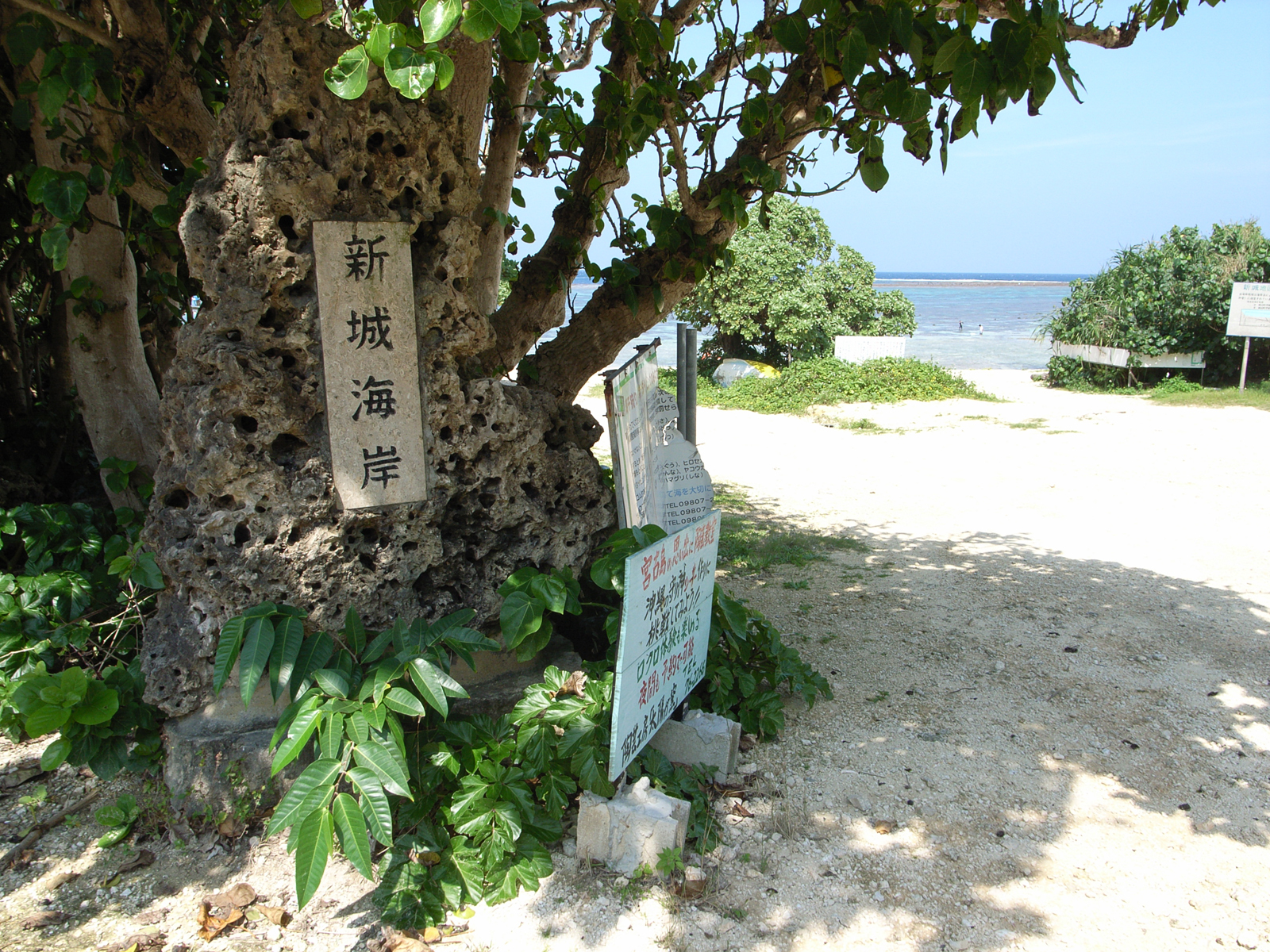 新城海岸